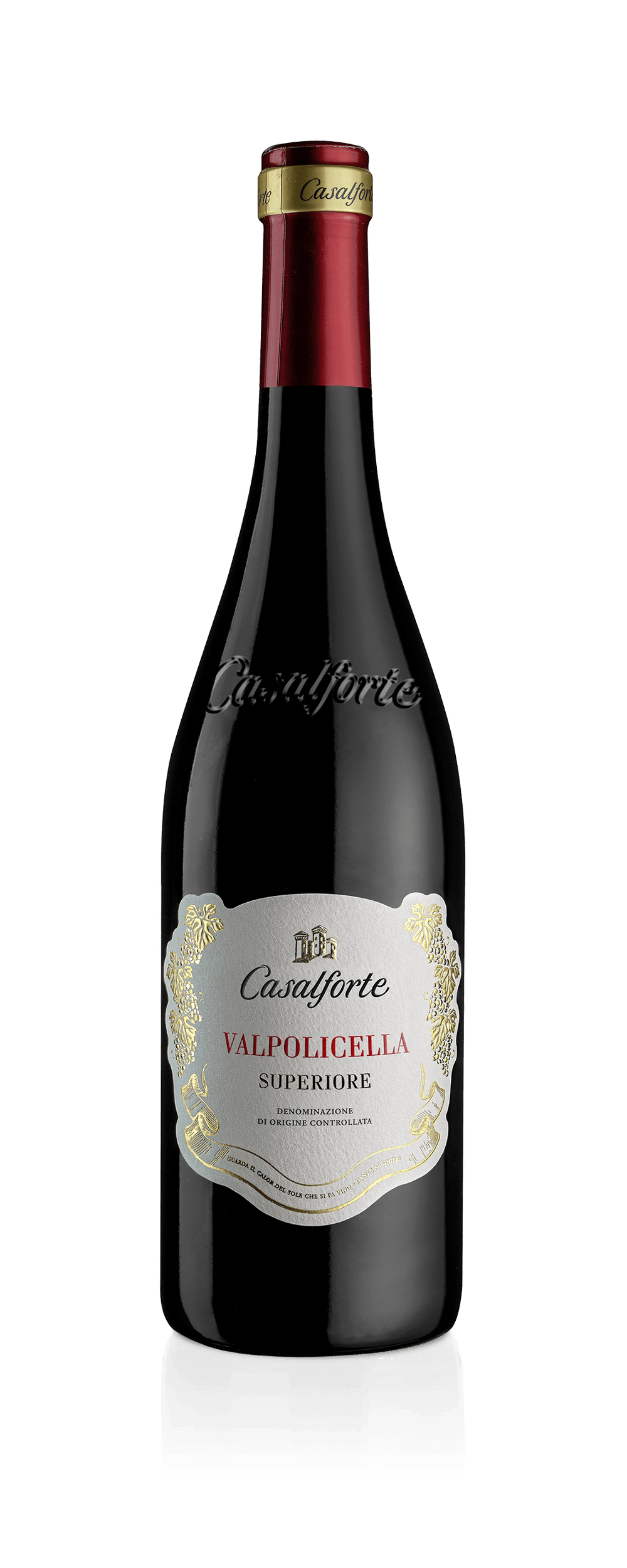 Cantine Riondo - 'Castelforte' Valpolicella Classico Superiore 2019